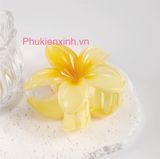  Kẹp Tóc Nhựa Hoa Sặc Sỡ K276 