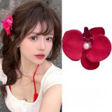  Kep hoa Lan HL01 