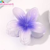  Kẹp Tóc Nhựa Hoa Sặc Sỡ K276 