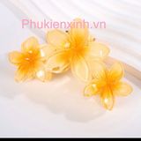  Kẹp Tóc Nhựa Hoa Sặc Sỡ K276 