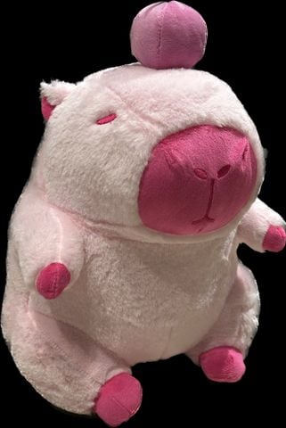  Gấu bông Capybara Chuột Lang GCC043 