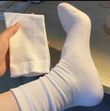  Vớ trơn Cotton Siêu Xinh Nhiều Mẫu – Êm Chân, Thoáng Khí, Dễ Phối Đồ ✨ 