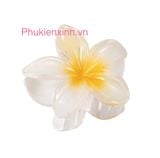  Kẹp Tóc Nhựa Hoa Sặc Sỡ K276 