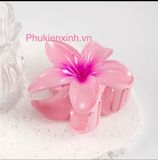  Kẹp Tóc Nhựa Hoa Sặc Sỡ K276 