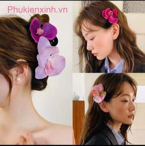  Kẹp Hoa Lan HL01 – Kẹp Tóc Hoa Lan Vải Lụa 3D, 13 Màu & Size Lớn Nhỏ Đa Dạng 