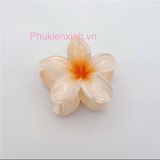  Kẹp Tóc Nhựa Hoa Sặc Sỡ K276 