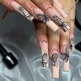  Móng tay nail box MT42 