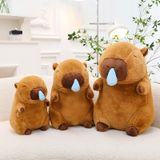  Gấu bông N Capybara Chuột Lang GCC042 