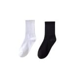  Vớ trơn Cotton Siêu Xinh Nhiều Mẫu – Êm Chân, Thoáng Khí, Dễ Phối Đồ ✨ 