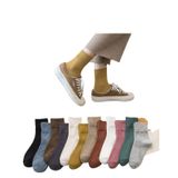  Vớ Nữ Cotton Dày Dặn VV0041 – Ấm Áp, Êm Chân, Phong Cách Hàn Quốc 