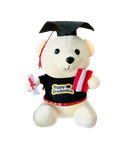  Gấu Cử Nhân GCN01 – Quà tốt nghiệp dễ thương 