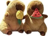  Gấu bông N Capybara Chuột Lang GCC042 