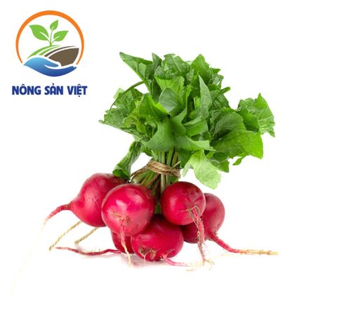 Rau Củ Quả – Nông sản Việt