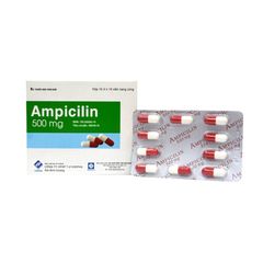 Ampicilin 500mg - Điều trị các bệnh viêm nhiễm khuẩn (Hộp 10 vỉ x 10 viên)