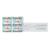 Growsel - Phòng và điều trị bệnh do thiếu vitamin C và kẽm (Hộp 3 vỉ x 10 viên nang)