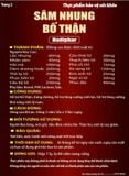 Thực phẩm bảo vệ sức khỏe Sâm nhung bổ thận Hadiphar - Bổ thận, tráng dương (Hộp 1 lọ 60 viên nang)