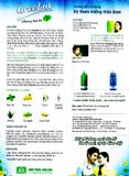 Xịt thơm miệng thảo dược Greelux Fresh Mint Cool - Hương bạc hà (Hộp 1 chai 12ml)