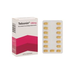 Tebonin 120mg - Điều trị rối loạn tuần hoàn máu não và ngoại biên (Hộp 2 vỉ x 15 viên)