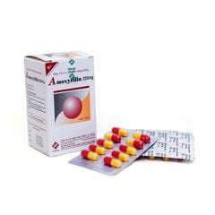 Amoxycilin 250mg Vidipha - Điều trị các nhiễm khuẩn (Hộp 10 vỉ x 10 viên)