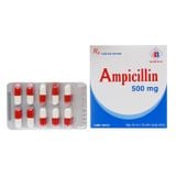 Ampicillin 500mg - Điều trị nhiễm khuẩn (Hộp 10 vỉ x 10 viên)