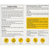 Thực phẩm bảo vệ sức khoẻ Scurma Fizzy  Nano curcumin - Cải thiện chứng trào ngược dạ dày và viêm loét dạ dày (Hộp 2 tuýp x 10 viên sủi)