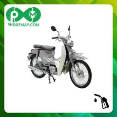 Xe cub 50cc Ally Classic bánh căm