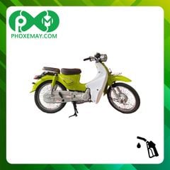 Xe cub 50cc Ally New LE bánh căm