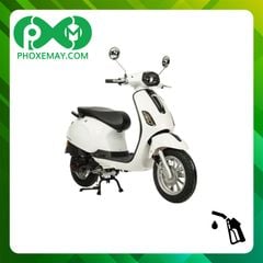 Xe ga 50cc Kazuki Canely G1