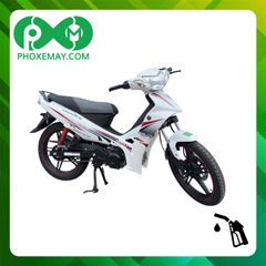 Xe máy 50cc Kazuki Exsport