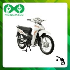 Xe máy 50cc Kazuki RS