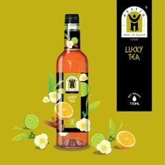 Syrup Hestia Các Mùi 750ml