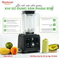Máy Xay Sinh Tố Promix PM 919B