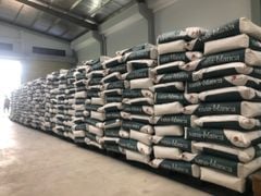 Bột Sữa Indo Kievit Vana Blanca 35C 25kg