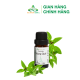  Tinh dầu Húng Quế Basil 