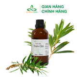  Tinh dầu Tràm Gió Việt Nam 