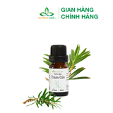  Tinh dầu Tràm Gió (Việt Nam) 