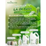  Nước rửa chén lá ổi tôi là thảo mộc 450ml 