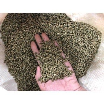  Viên cỏ Alfalfa linh lăng 3mm Italy 500g 