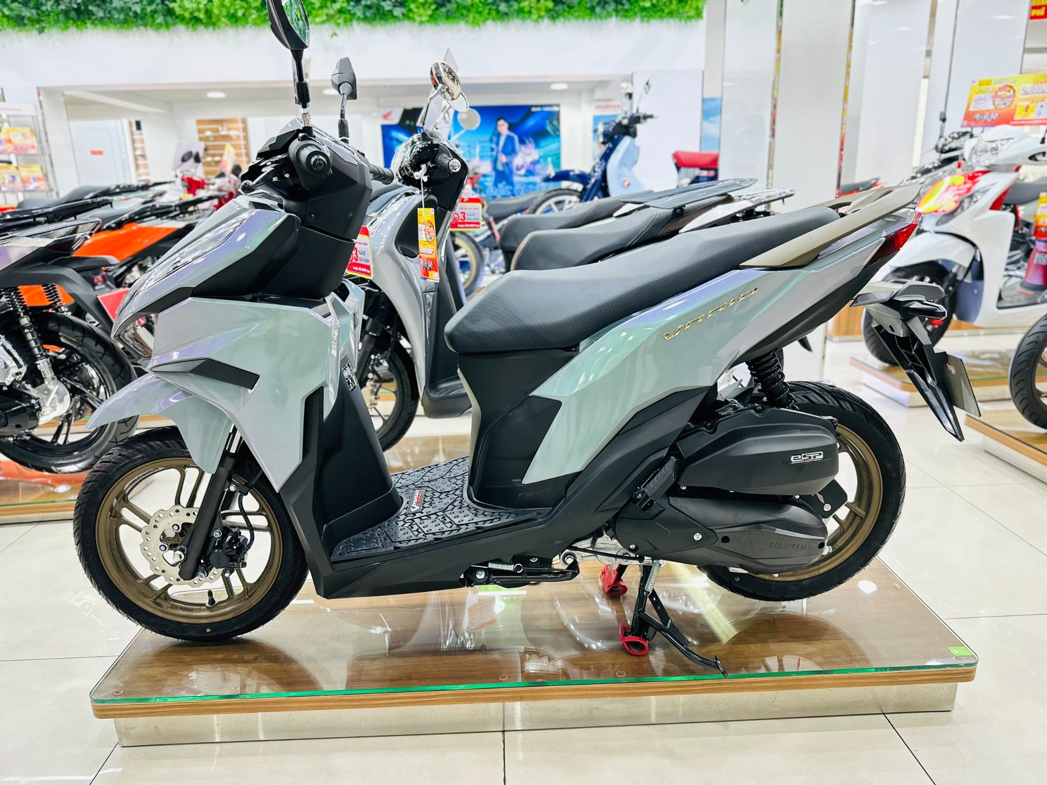 VARIO 125 XANH ÁNH TÍM