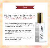  [Petit Croix] Nước Hoa 30ml Cotton Blossom_Hương hoa bông 