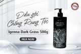  Dầu Gội Chống Rụng Tóc Ezenna Dark Grass 500g 