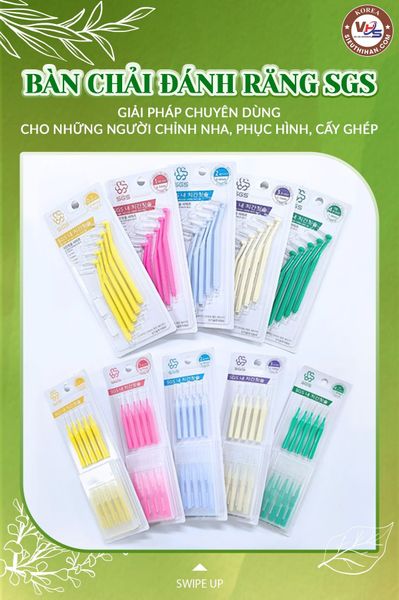  Bàn Chải Kẽ Răng SGS Loại Tiêu Chuẩn 10P 