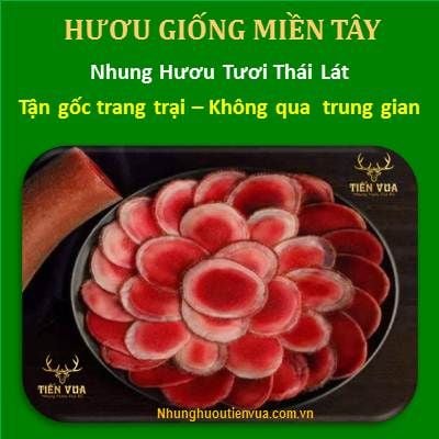  Nhung Hươu Tươi Thái Lát Tận Gốc Trang Trại 100% 