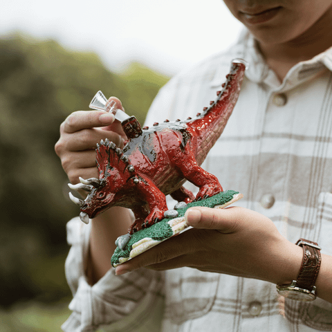  BOONG KHỦNG LONG TRICERATOPS HD502 