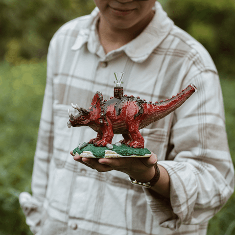  BOONG KHỦNG LONG TRICERATOPS HD502 