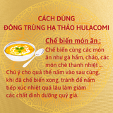  Nấm Đông trùng hạ thảo HuLaCoMi sấy thăng hoa 45g HL06 - Loại đặc biệt hũ nhựa PET 