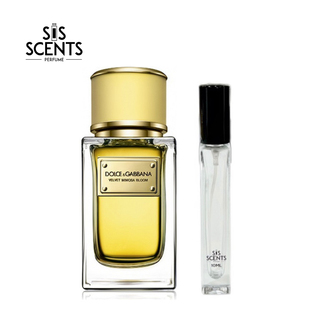 Dolce and gabbana velvet mimosa cheap bloom