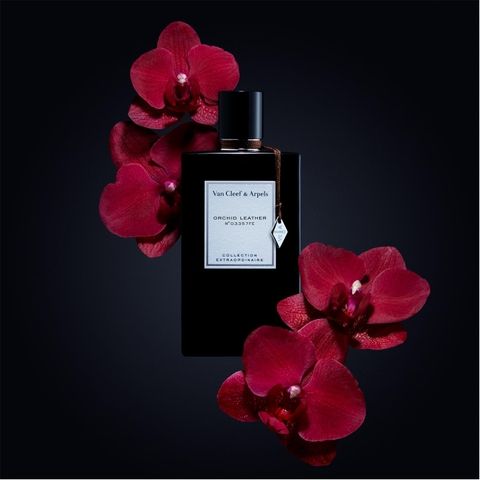  Nước hoa Van Cleef & Arpels Orchid Leather 75ml 