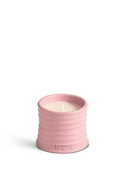  Nến LOEWE Ivy 170g 