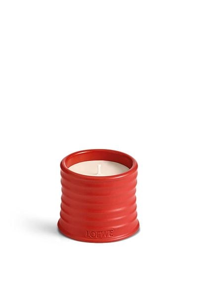  Nến LOEWE Tomato Leaves 170gr 